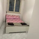 La Rosa Di Roma Tuscolana